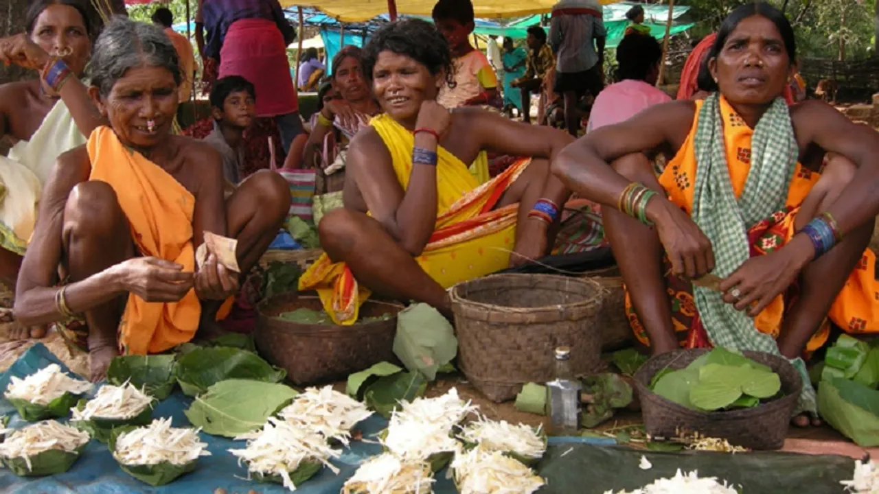 The Lodha tribe of Mayurbhanj, Odisha