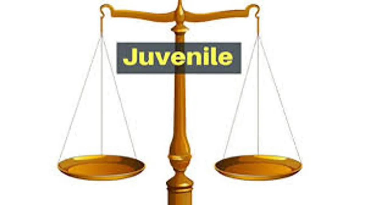 juvenile