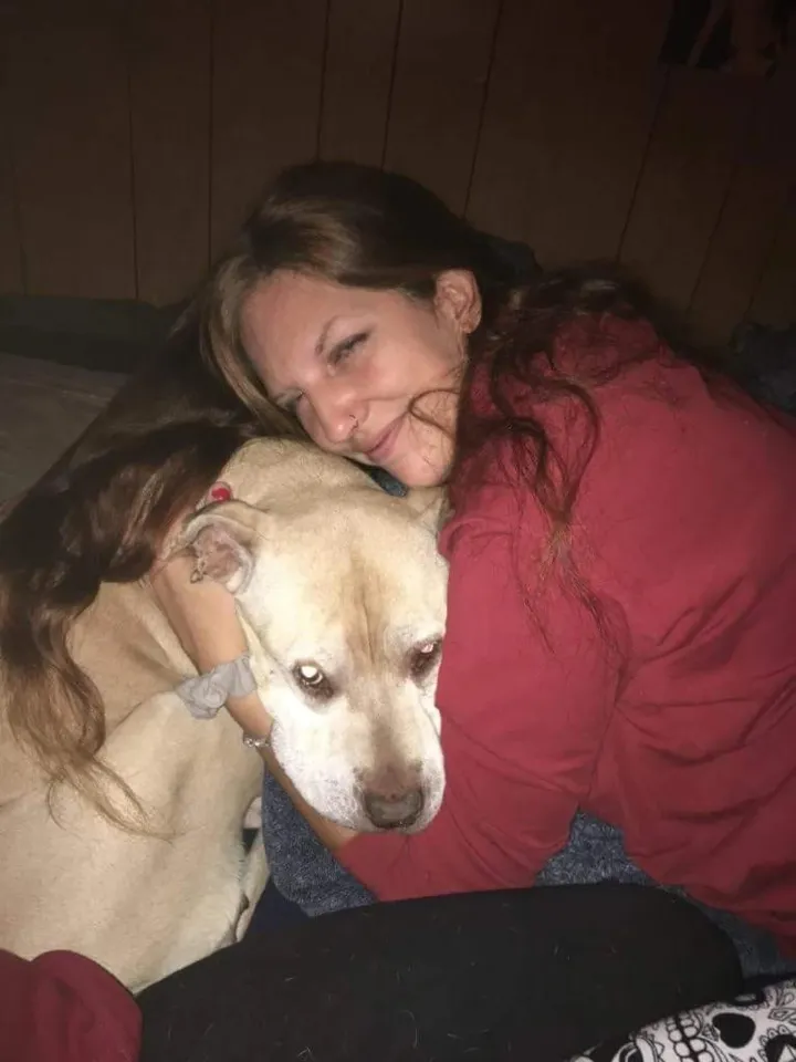 CALGARY,CANADA….CAR-CHASE SHOOTING AND COLLISION 💥 KILLS MOTHER OF 5, POLICE 👮‍♀️ IS ON HUNT FOR SUSPECT