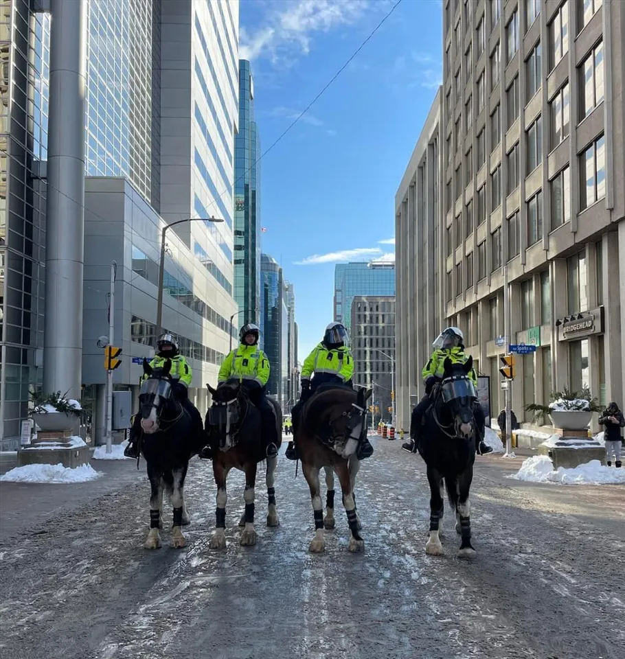 OTTAWA'S POLICE 🚨 CHIEF SAYS RESPONSE TO THE PROTEST HAS BEEN A SUCCESS. Thou Not Everyone Agrees.