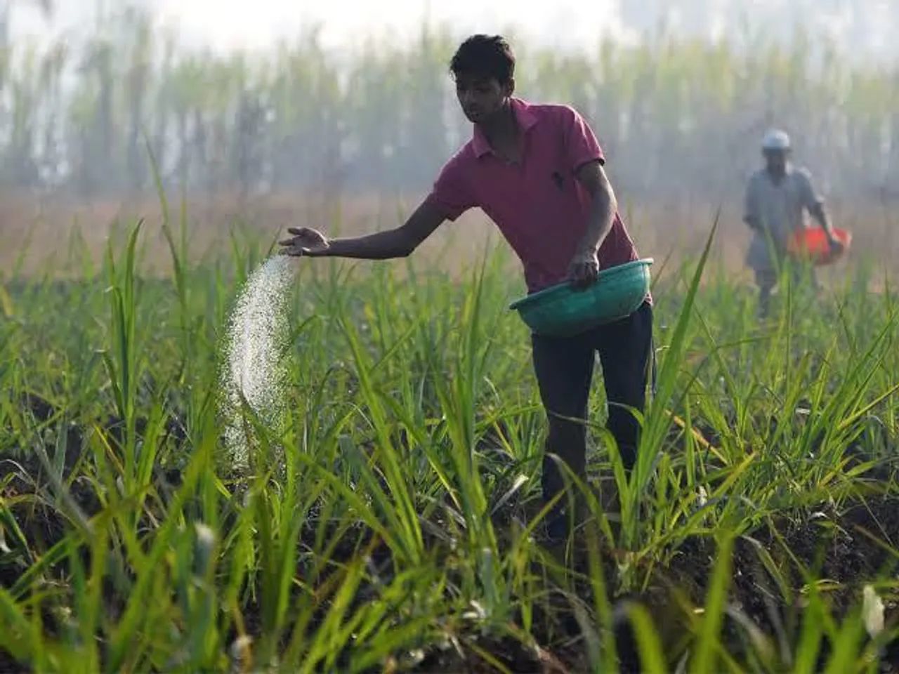 Fertiliser cos rise on prospects of higher urea prices