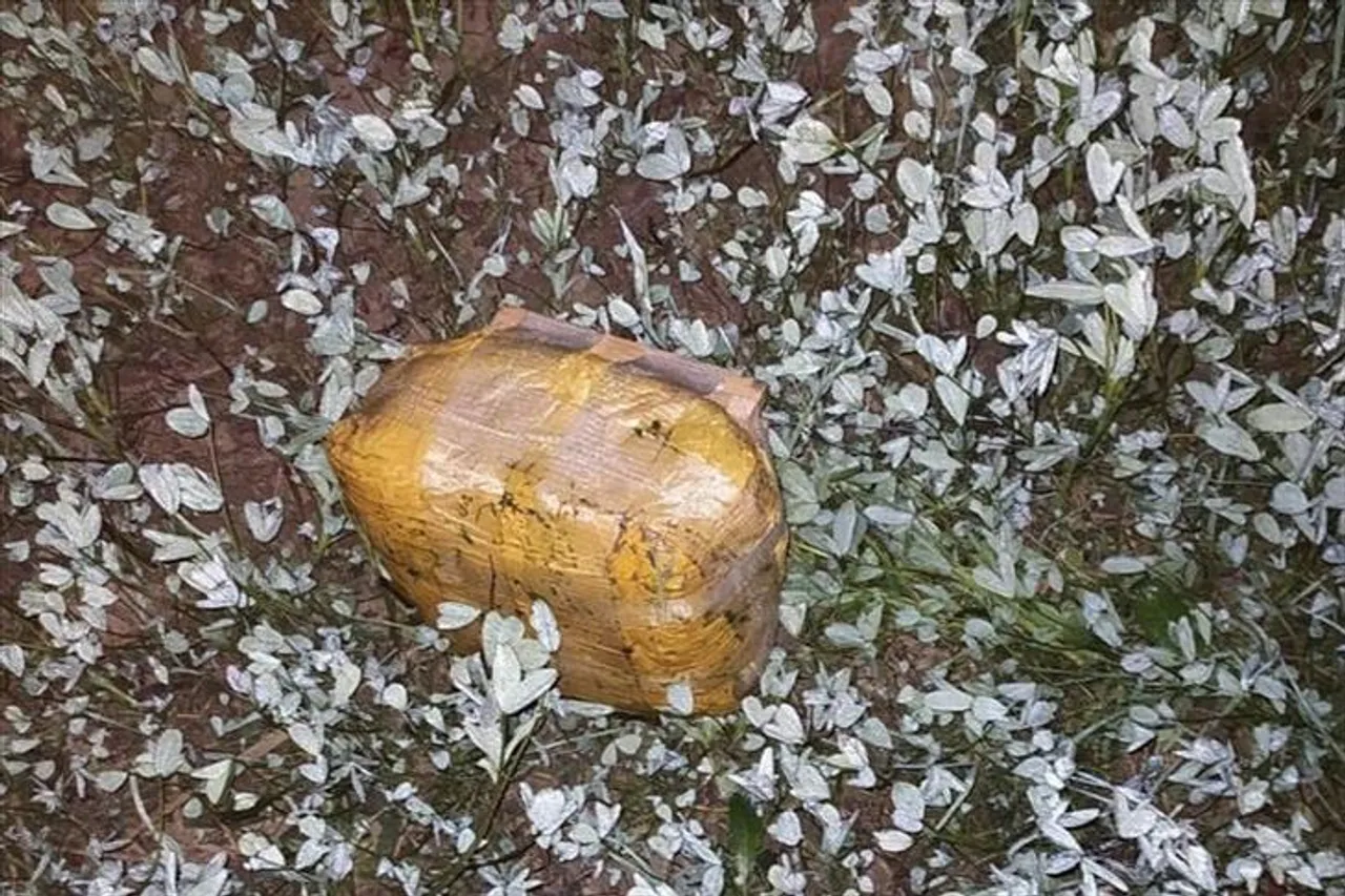 Recovery of consignment of weapons dropped by drone in Gurdaspur