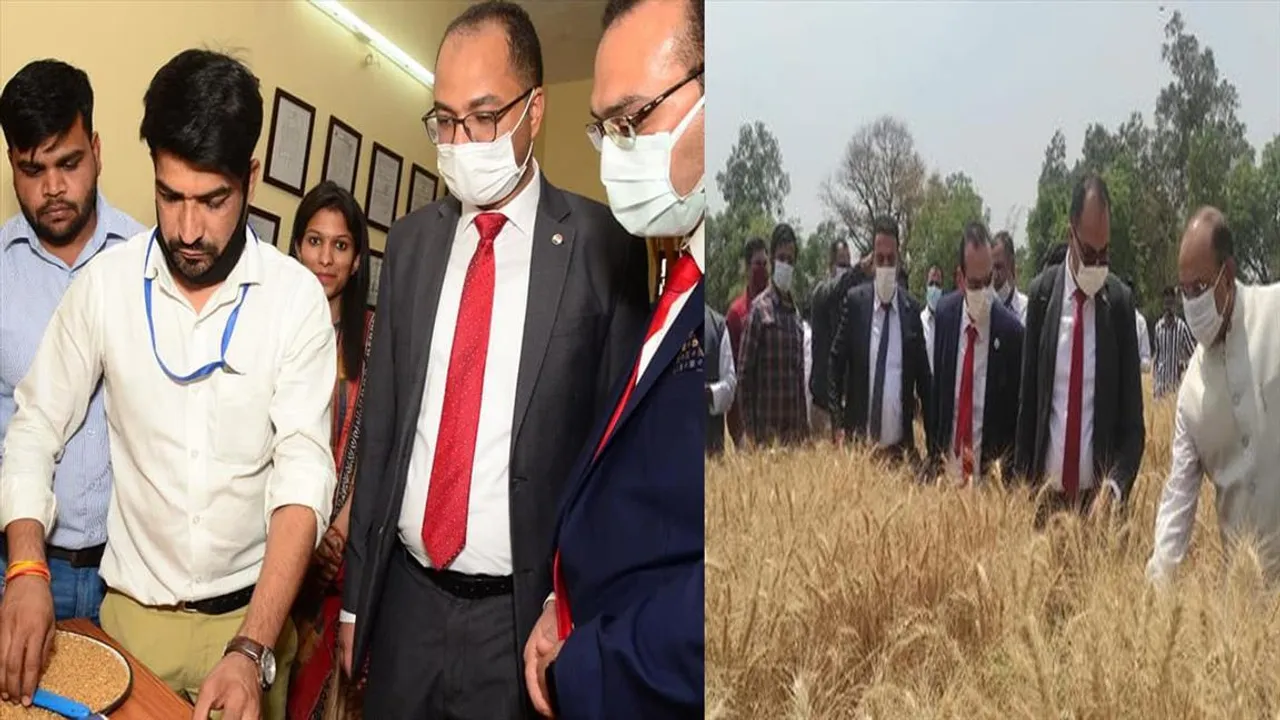 India recognized as a wheat supplier