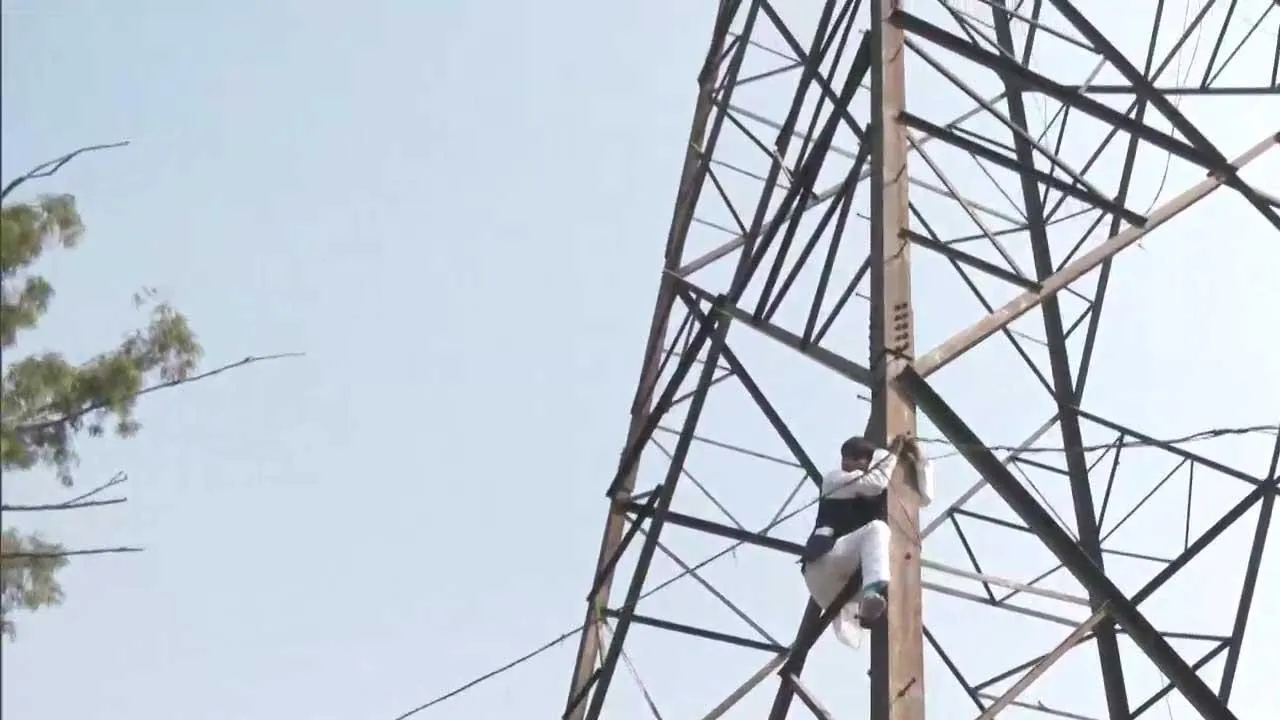 Delhi MCD Poll 2022 : After denied poll ticket, former councilor climbed the transmission tower