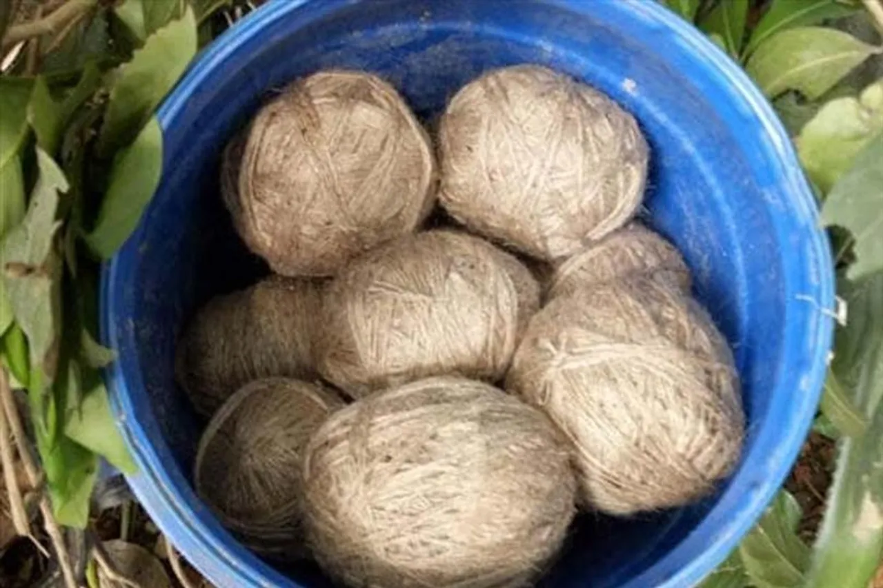 Rescue bucket full of bombs in Tarapith