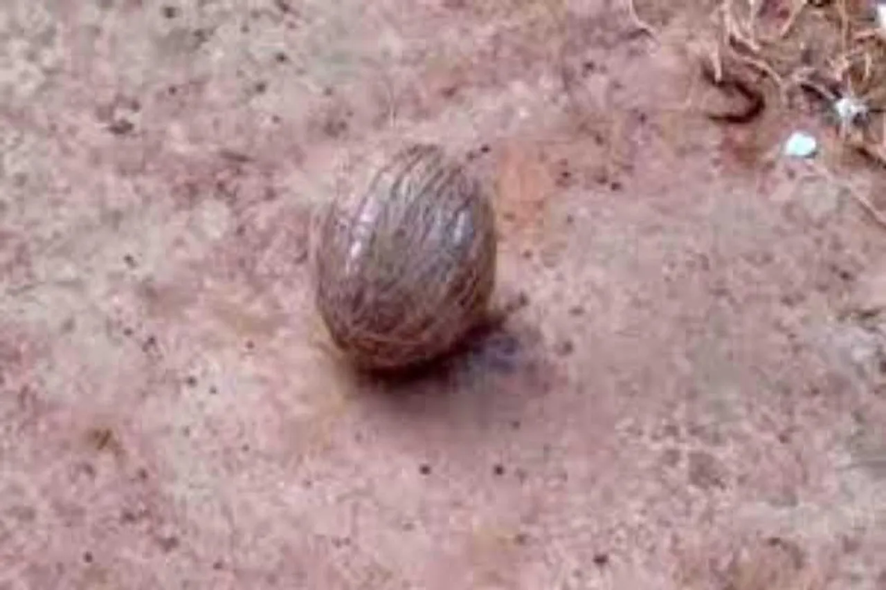 Explosion at Jagaddal in front of the police