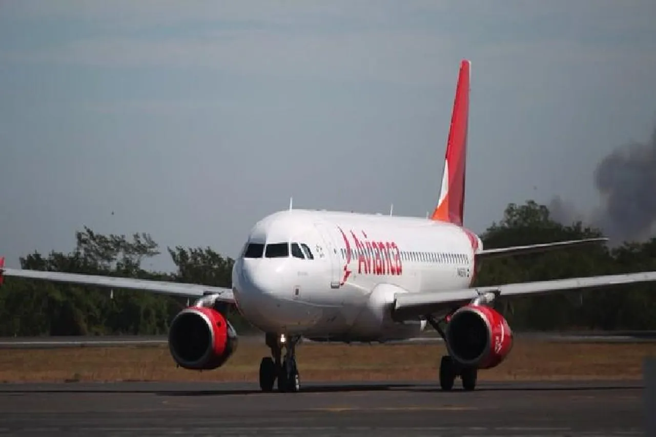 Two bodies were recovered from a plane