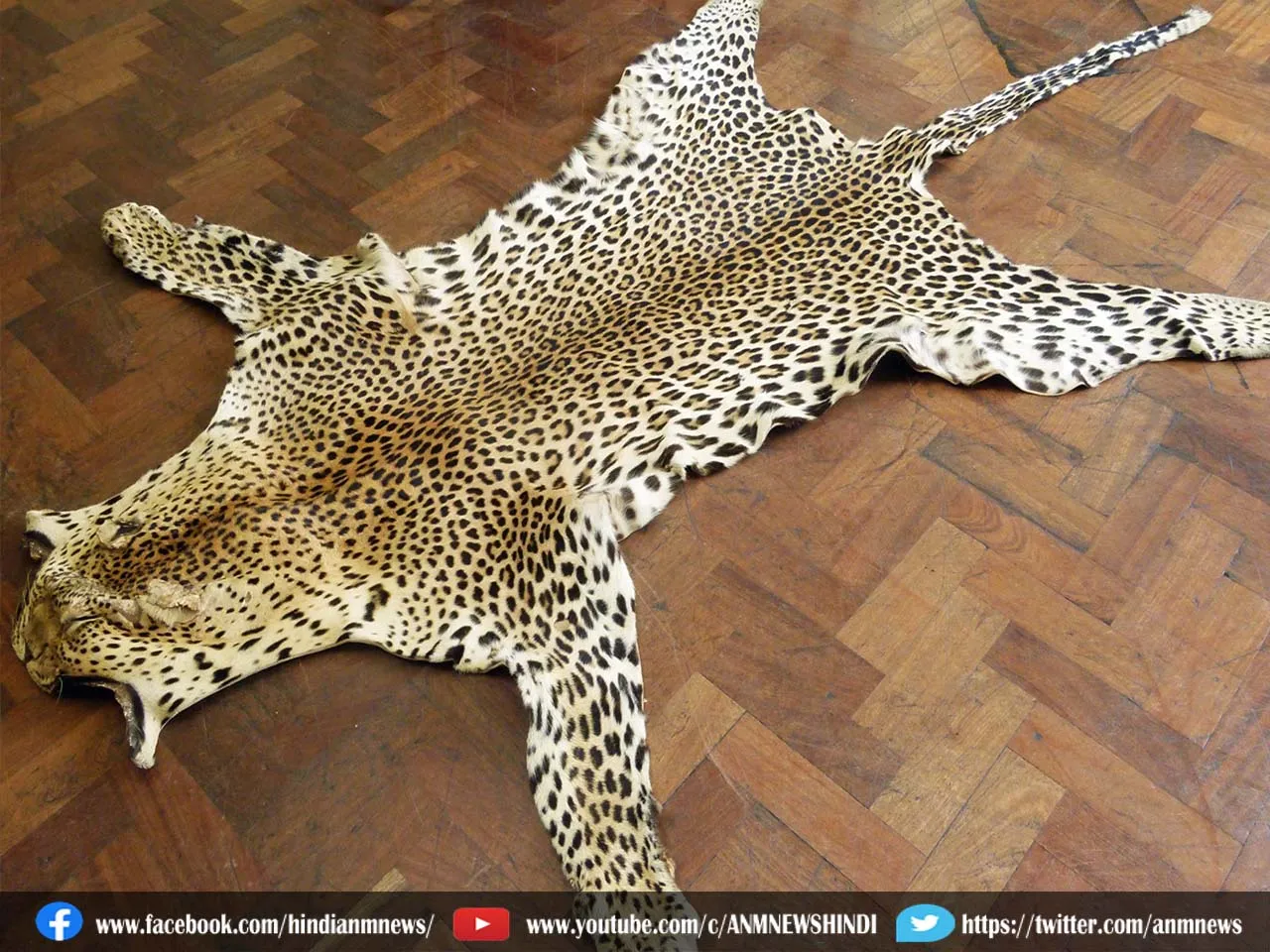 leopard skin