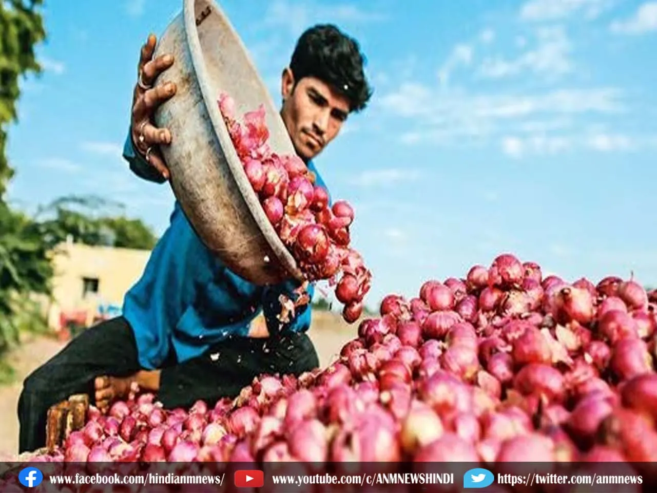 onion price