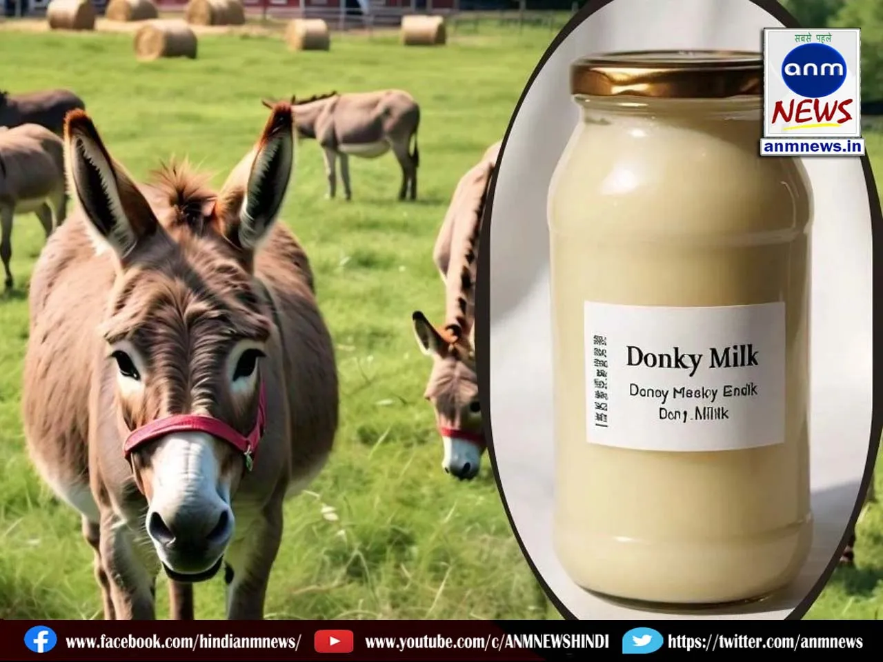 5 DONKEY MILK
