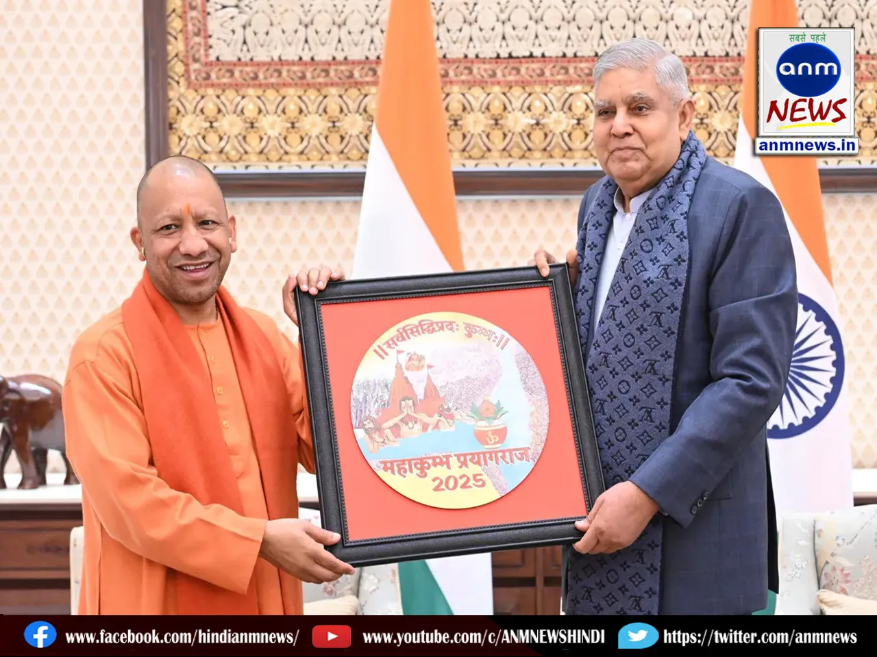 yogi