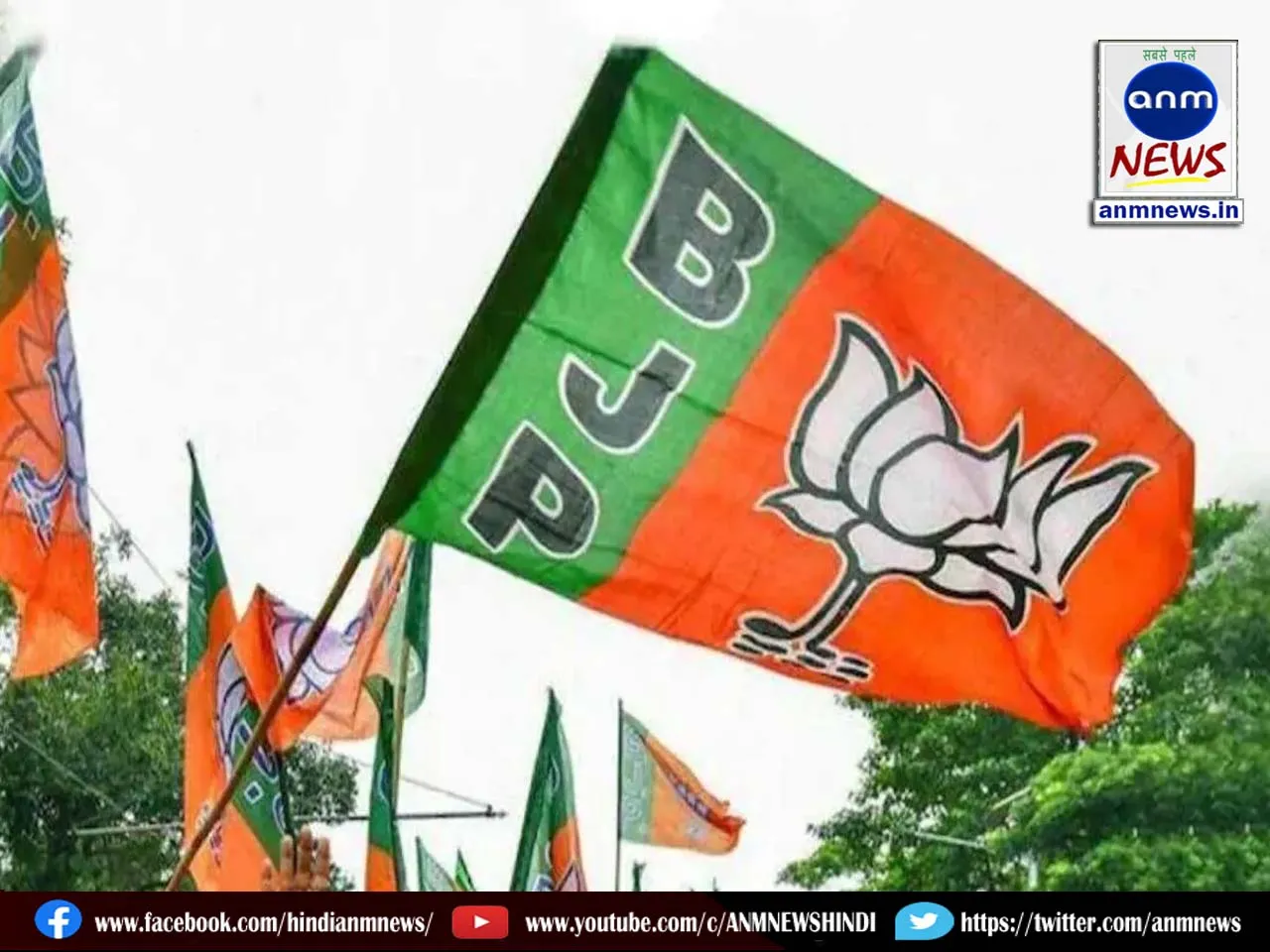 bjp mp
