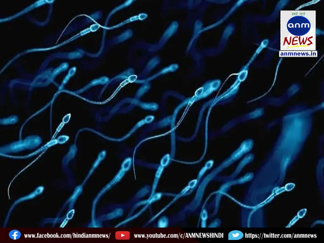Sperm
