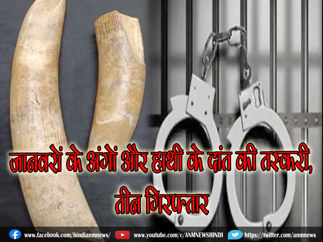 hathi daat