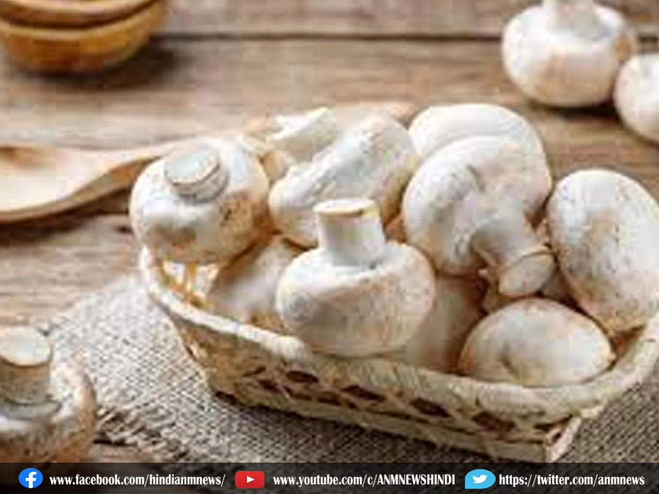 mushroom benefit 