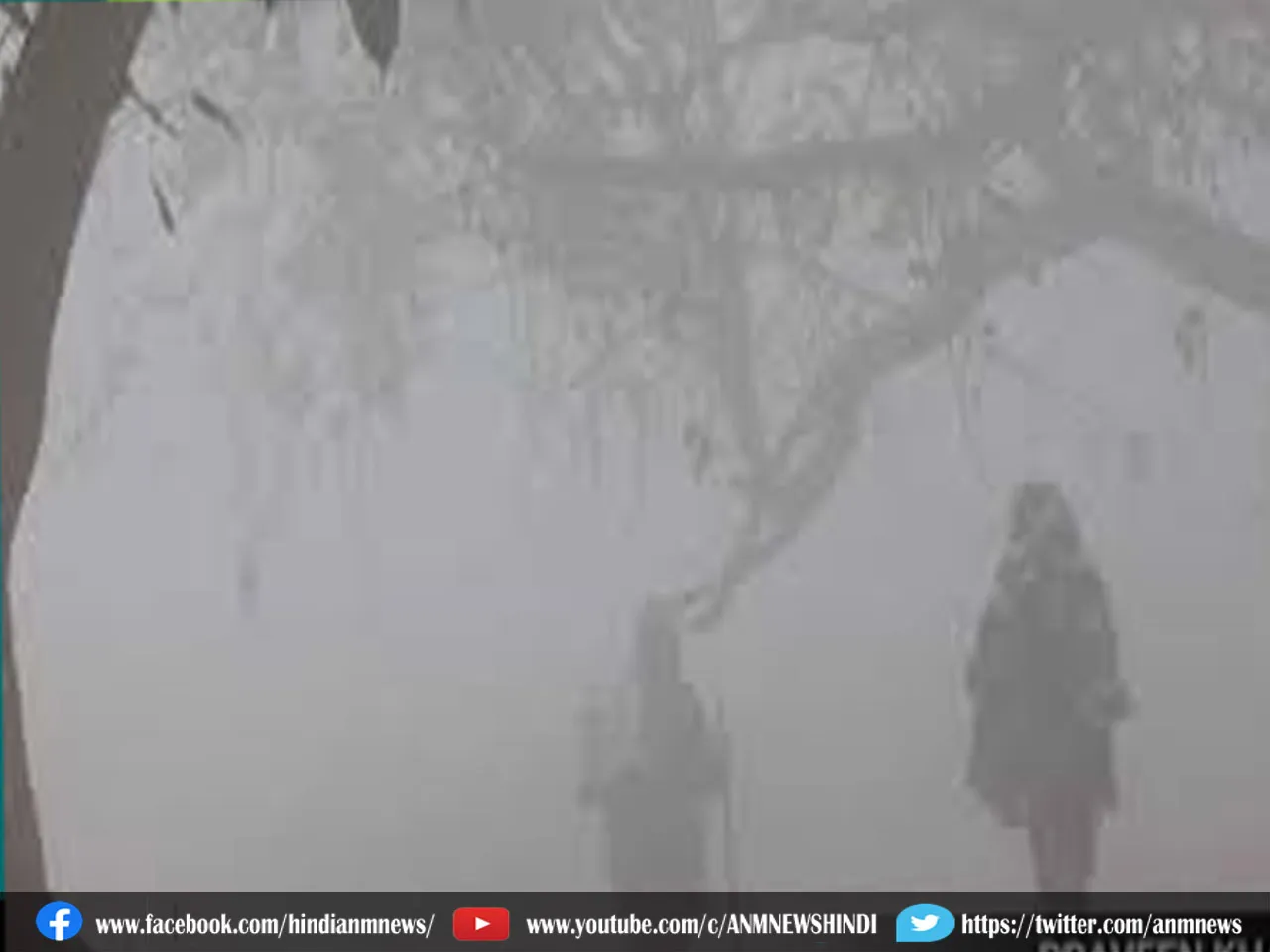 fog454