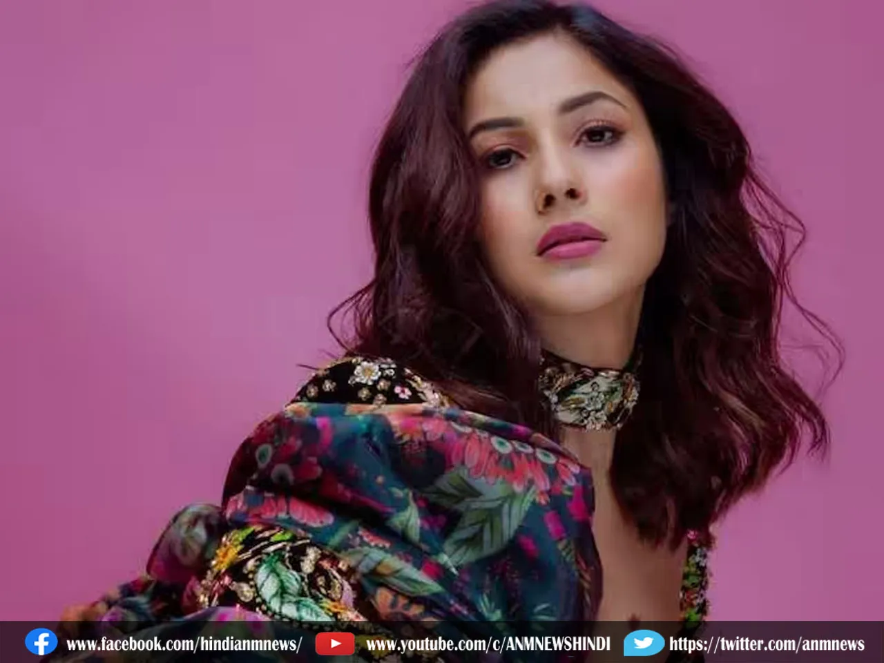 sehnaaz gill