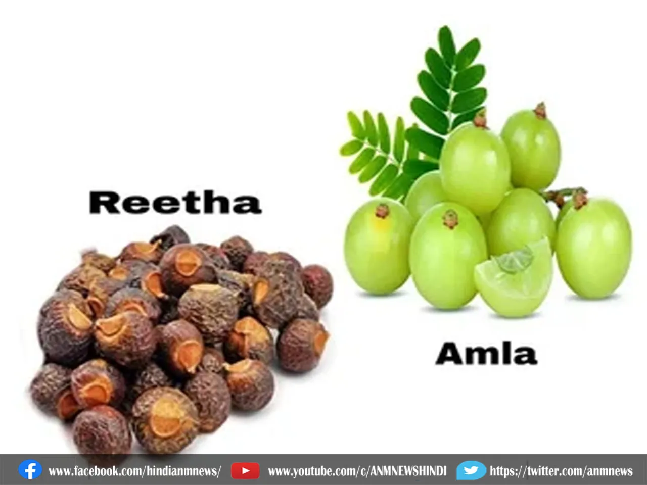 reetha ambla