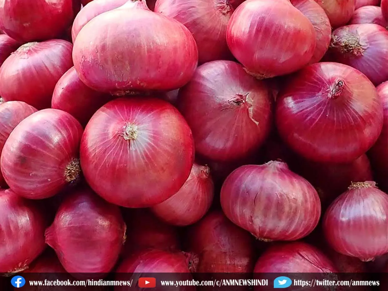 onion89