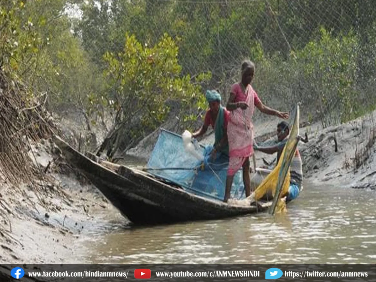 sundarbans