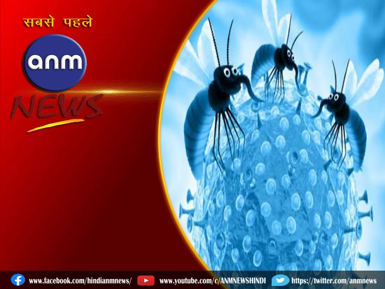 zika virus