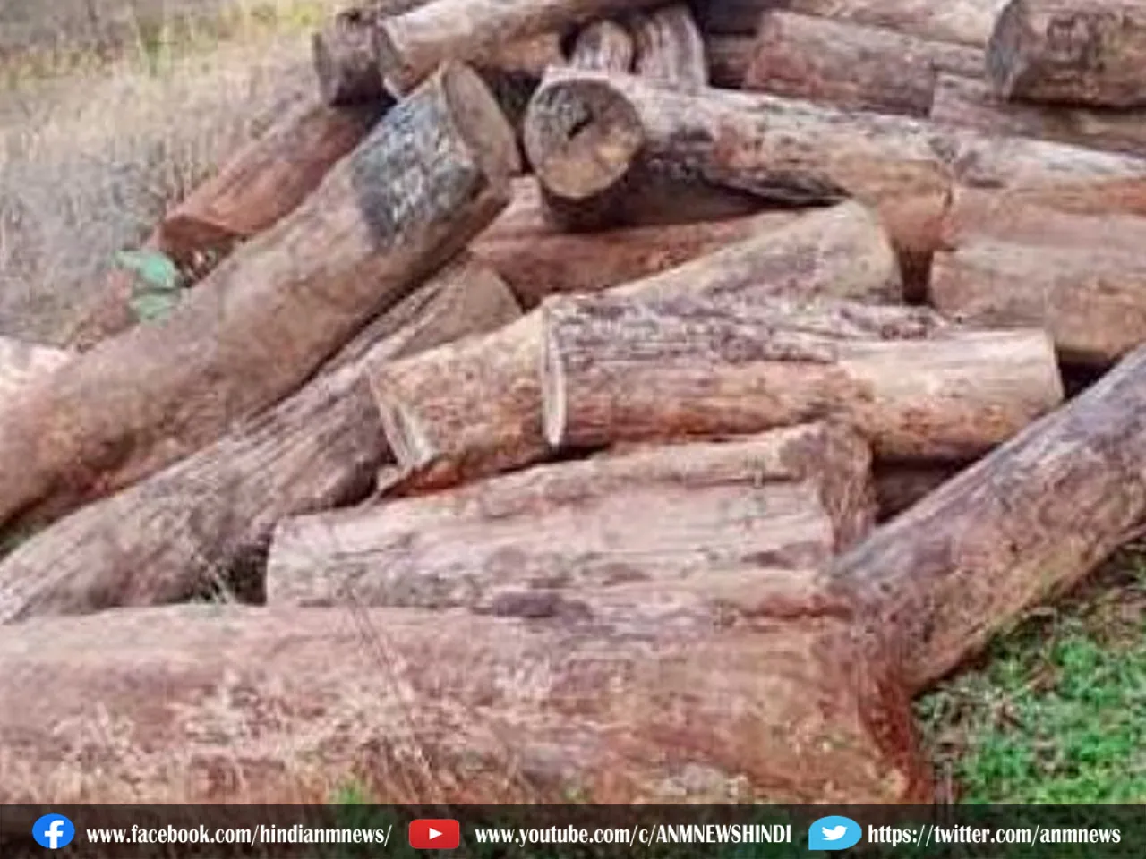 wood