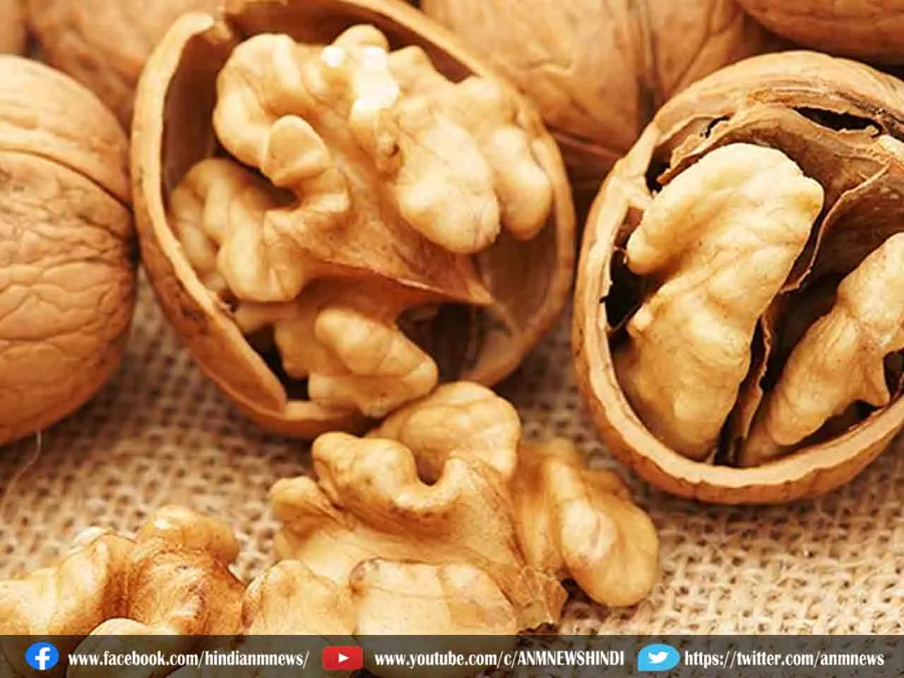 walnuts