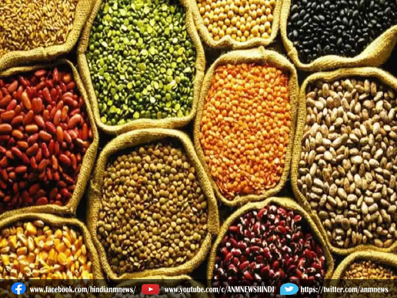 Urad pulses