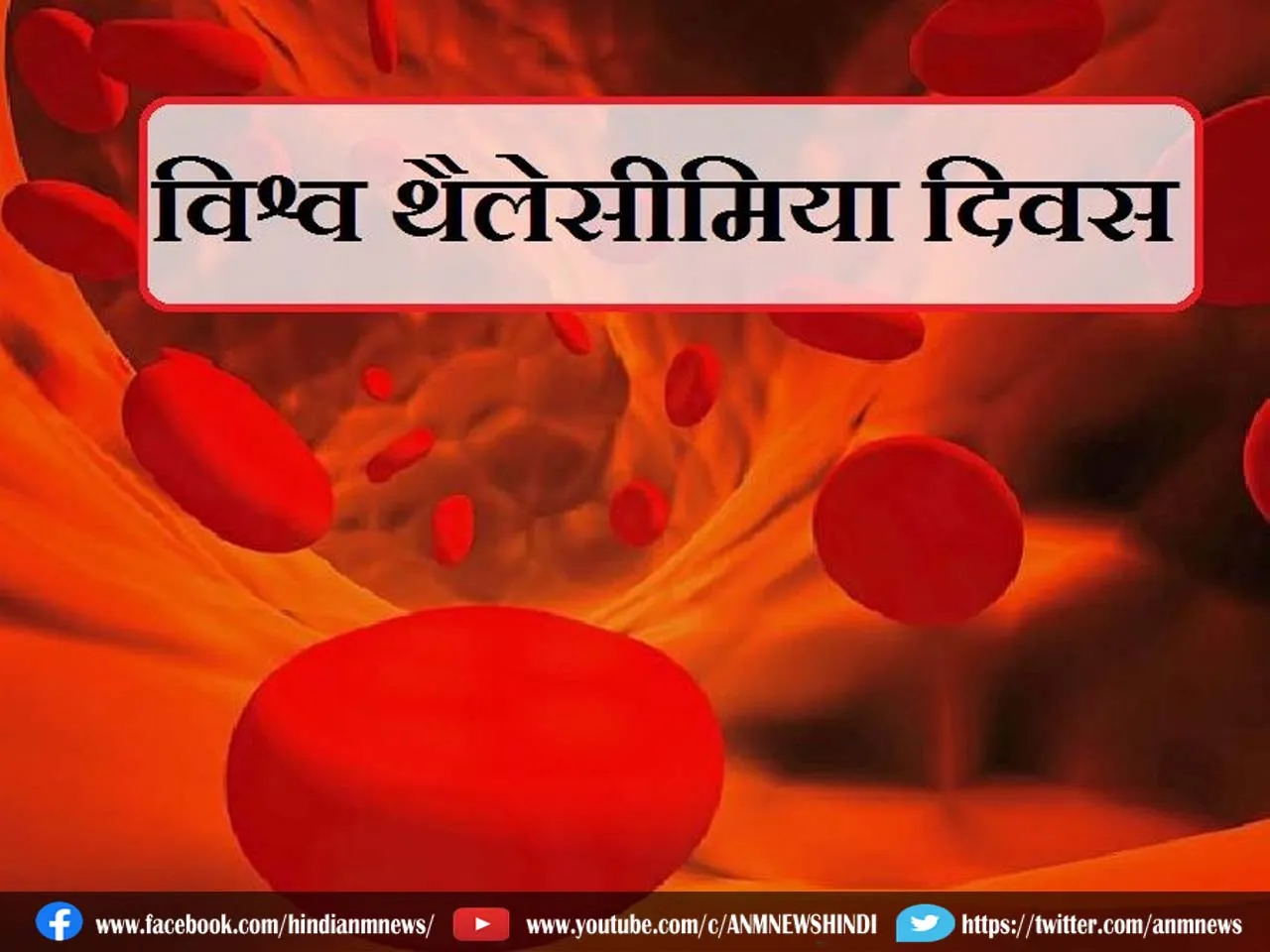 world thalassemia day