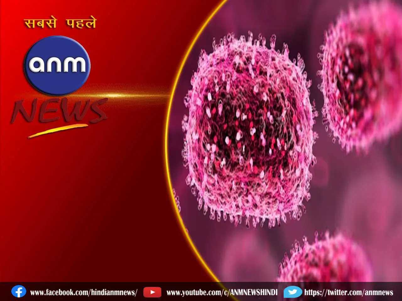 Chandipura virus