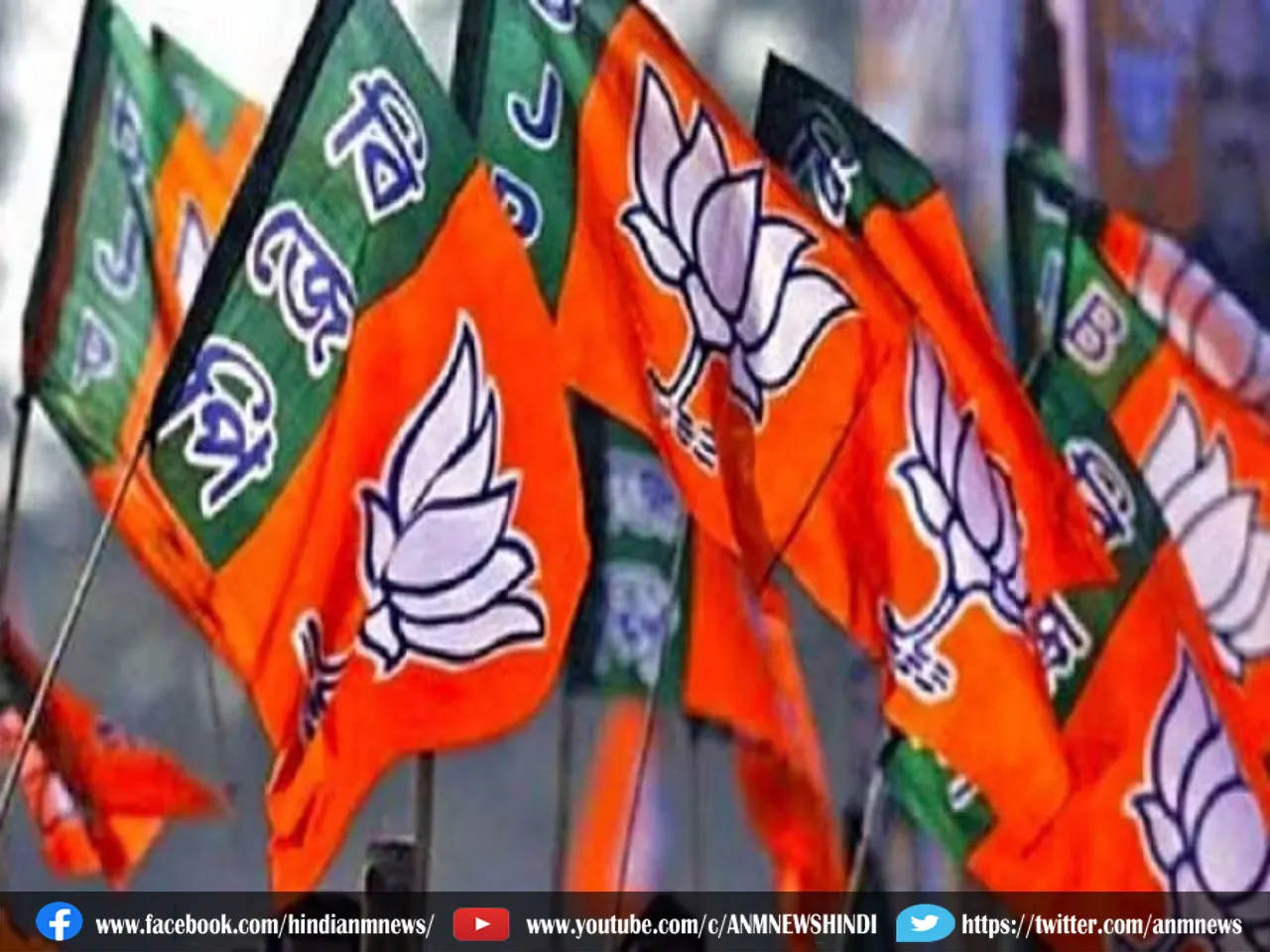  bjp flag