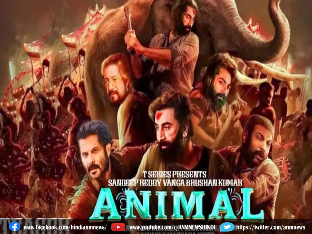 animal
