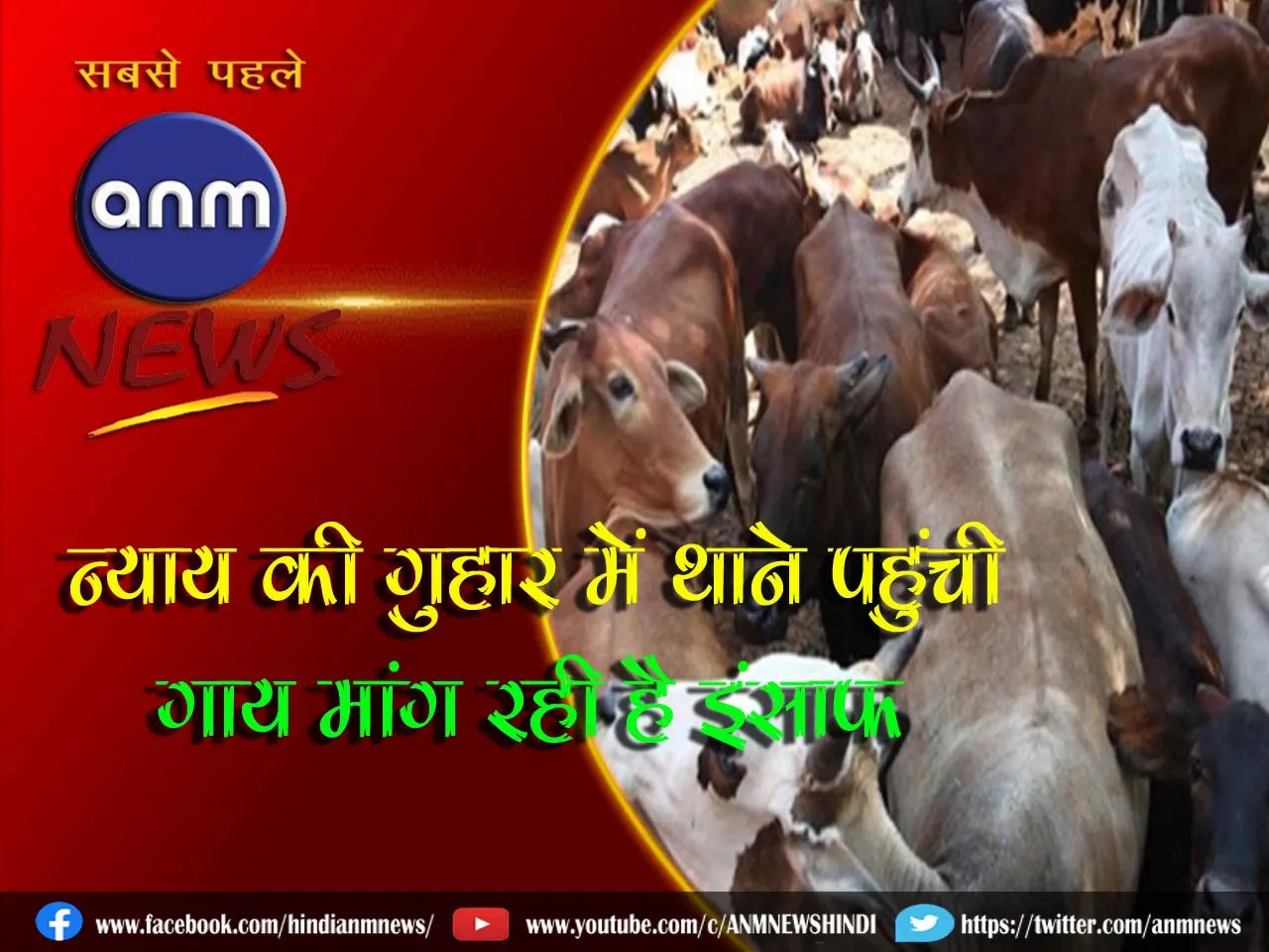 6 COW.