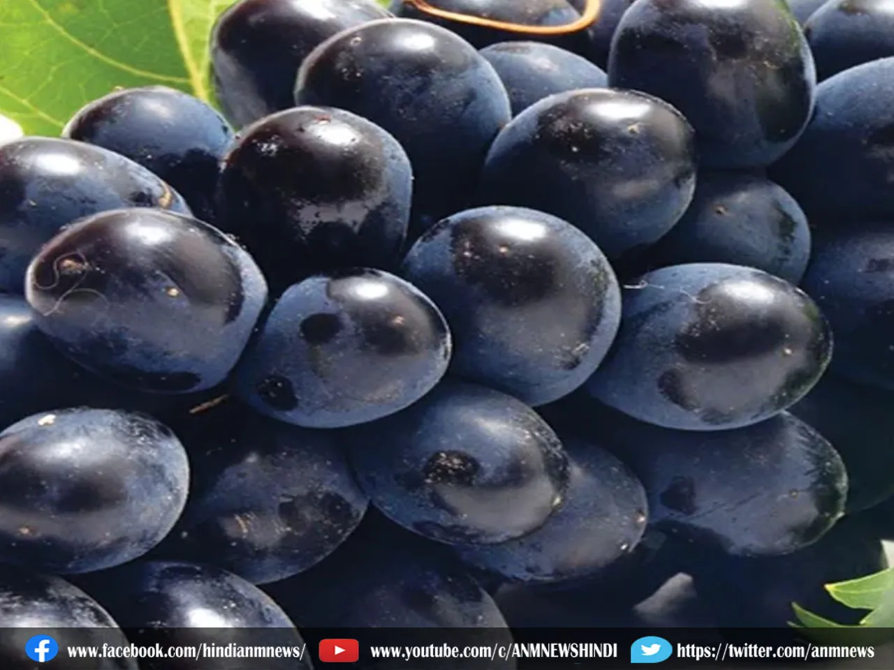 black grapes