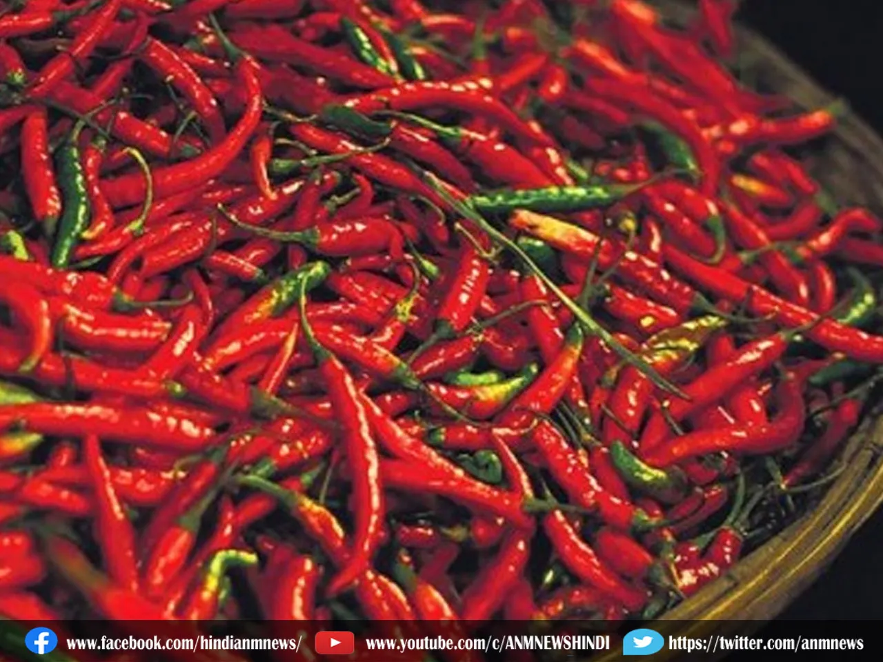 spicym