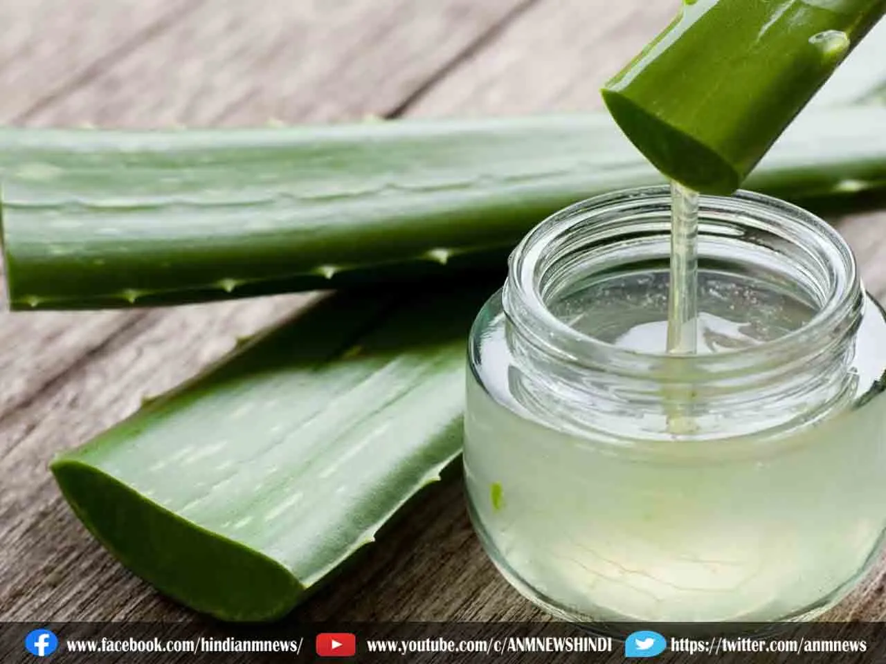 aloevera