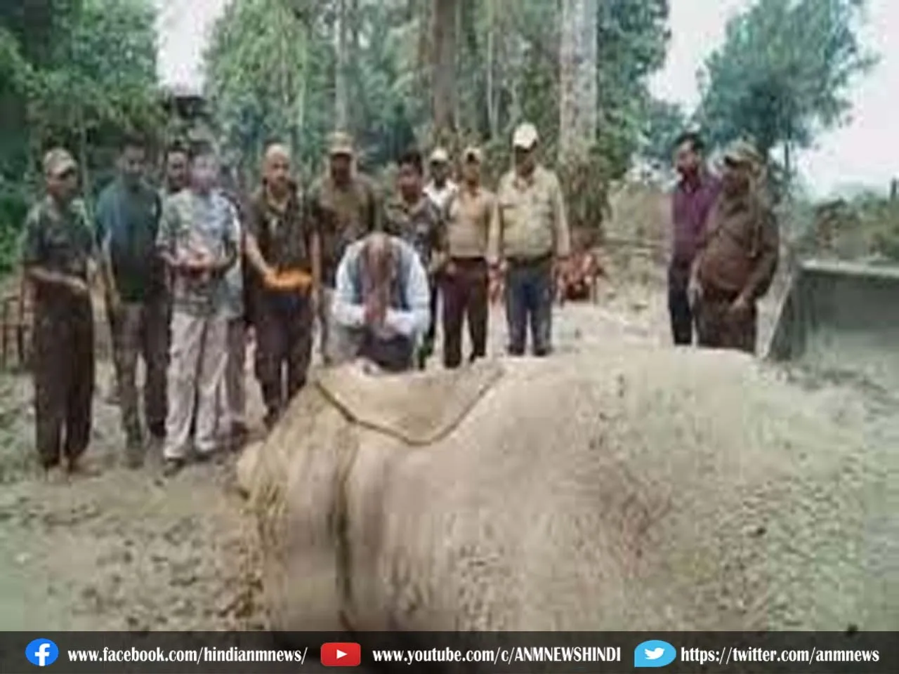 elephant tea garden