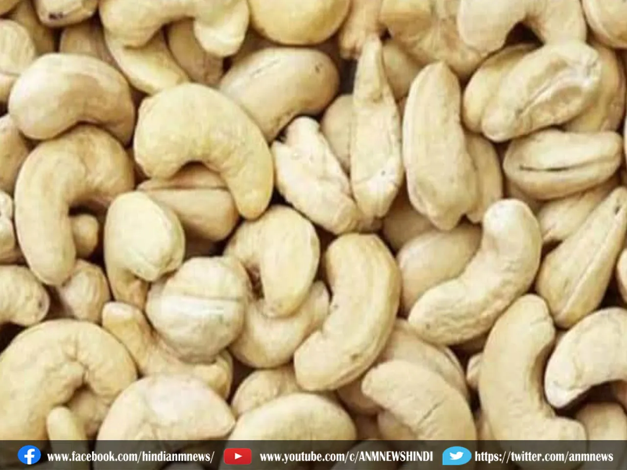 cashew