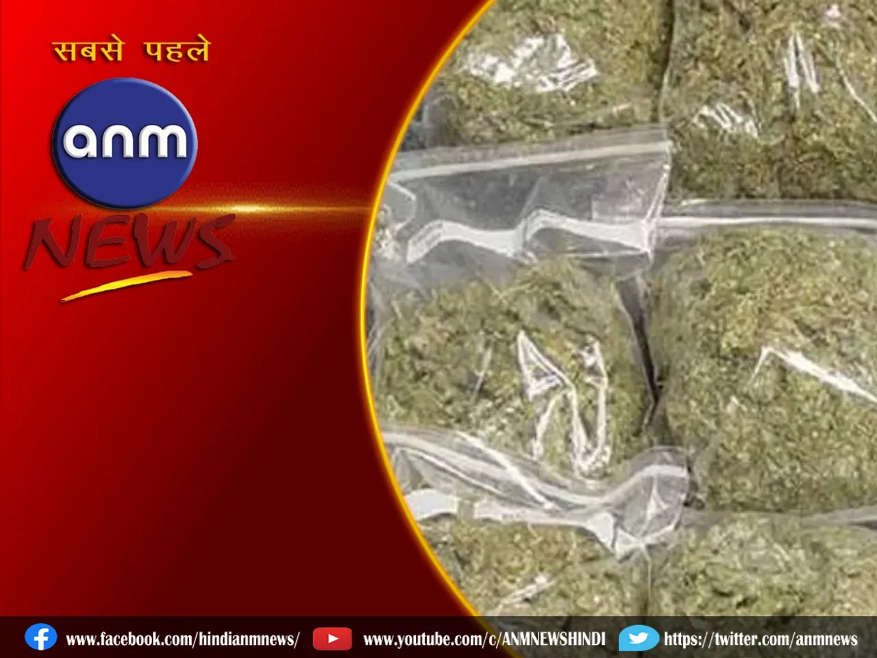 ganja arr
