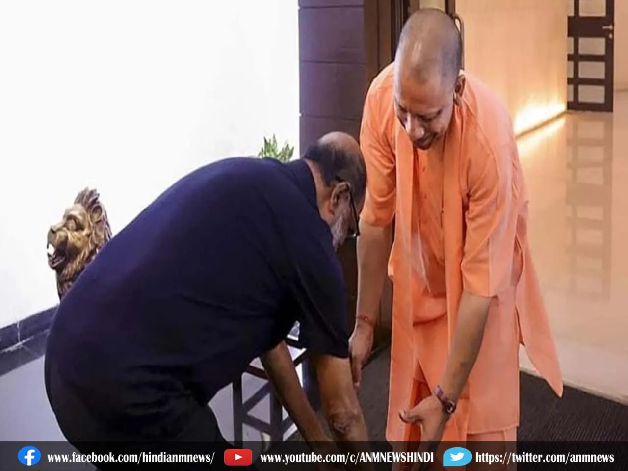 yogi45769.jpg