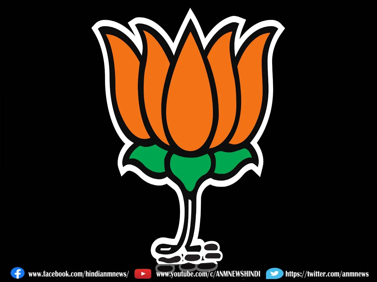 bjpstrike