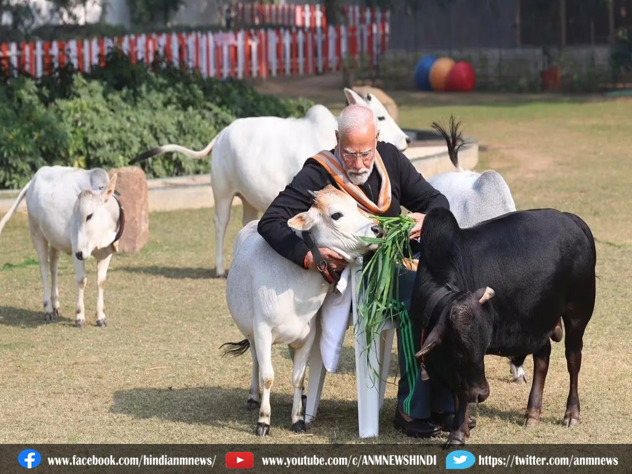 Makar Sankranti