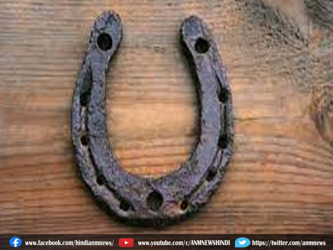 horse shoe