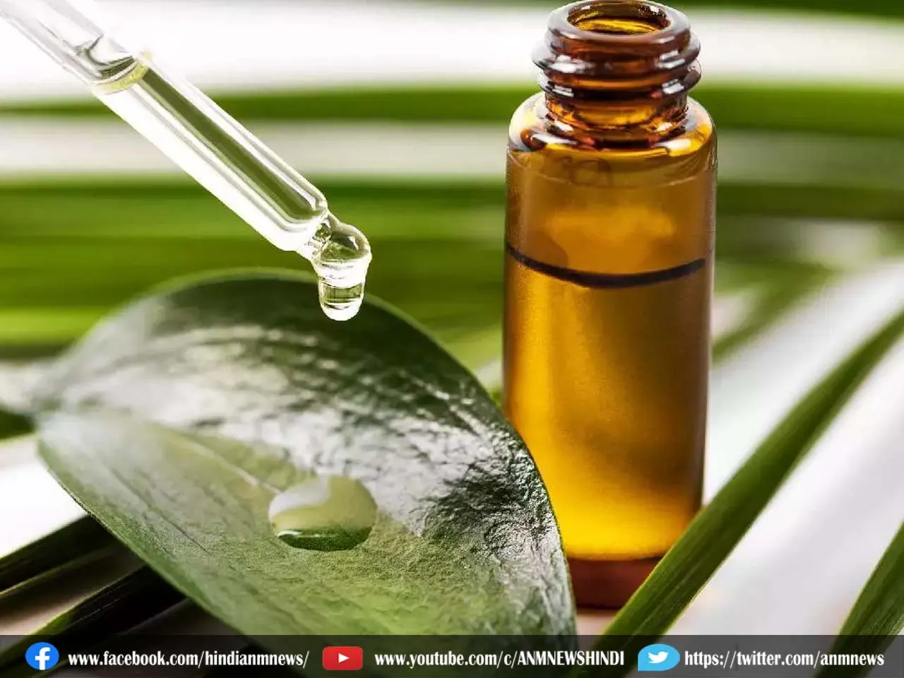 teatreeoil