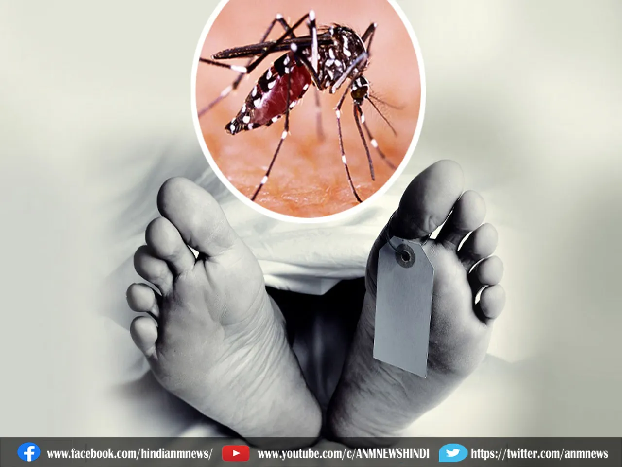  dengue
