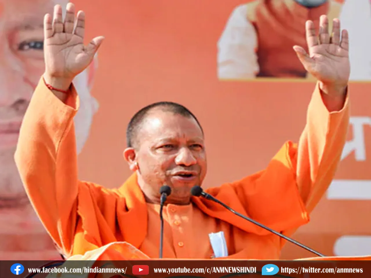 yogi
