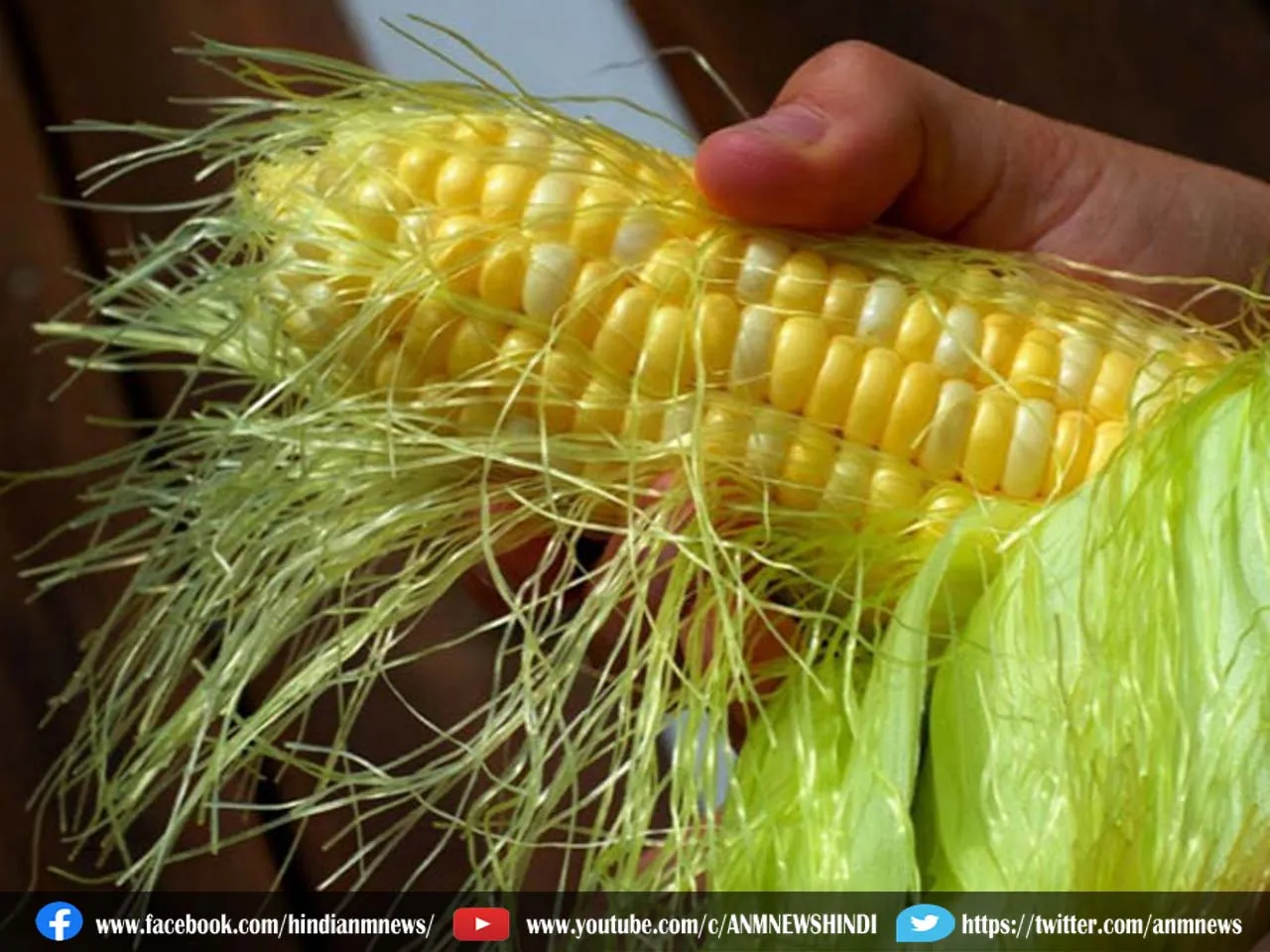 cob hair