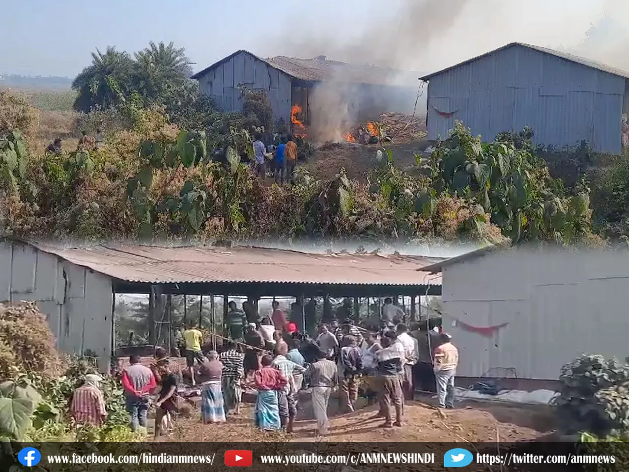 poultry farm