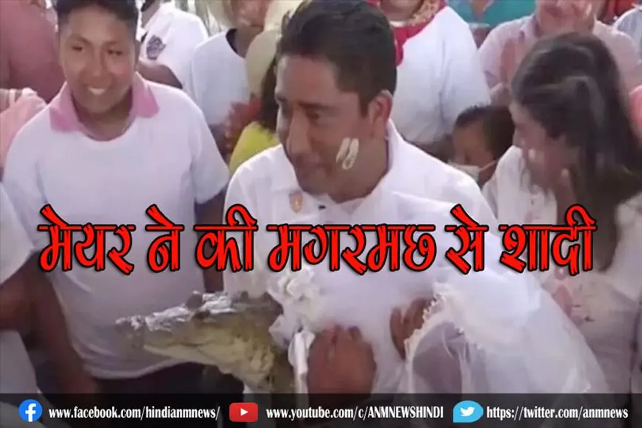 मेयर ने की मगरमछ से शादी