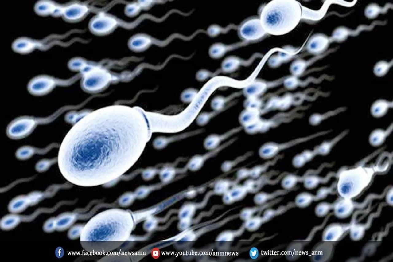 संक्रमित पुरुषों की प्रजनन क्षमता पर सीधा अटैक कर रहा कोरोना